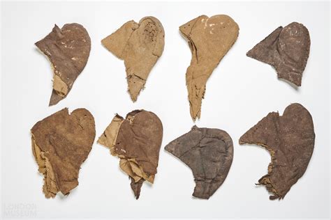 Image result for Famous Cod Piece