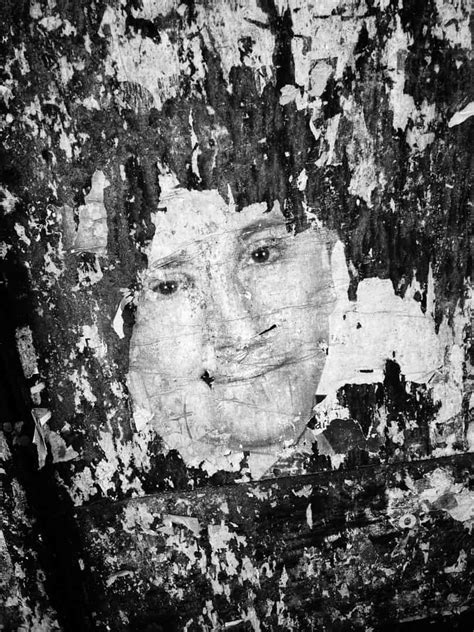 Image result for Random Object Photography