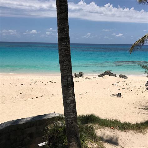 SOUTHLANDS PARK (2026) All You Need to Know BEFORE You Go (with Photos ...