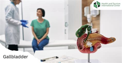 What is the function of the gallbladder? - HTI CENTERS | Medical Tourism Center