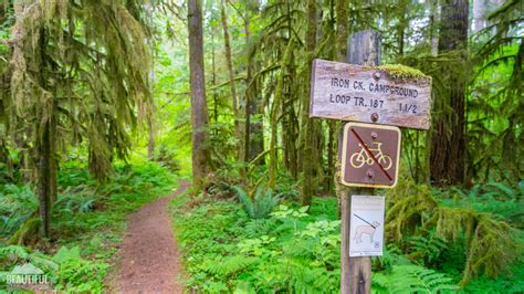 Iron Creek Campground Washington Map at Martha Holt blog