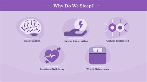 Why Do We Need Sleep? What Happens When We Sleep