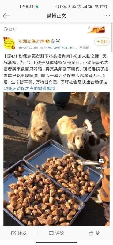 韩国第一夫人支持禁食狗肉，对于国内爱狗人士而言，将是一场狂欢 - 知乎