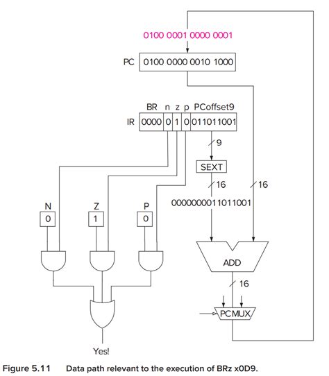 LC3 Tutorial 的图像结果