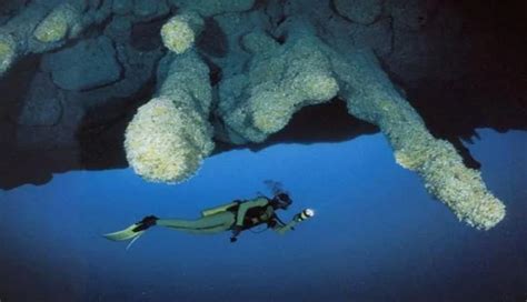 'ग्रेट ब्लू होल' गुफा से जुड़े हैं कई रहस्य, धरती की सबसे अद्भुत जगह