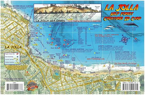 La Jolla Shores Map & Kelp Forest Creatures Guide Franko Maps Laminated ...