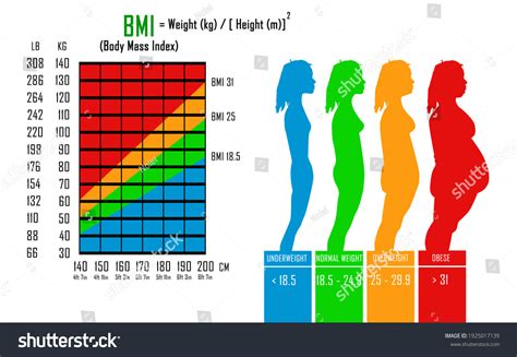 減肥 瘦身 方法: BMI 身高體重比例知多D
