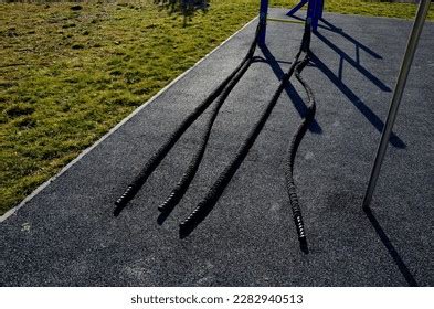 Boxing Training Ground 的图像结果