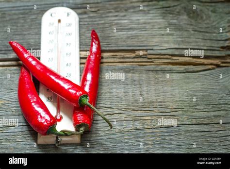 Image result for Hot Spring Temperature