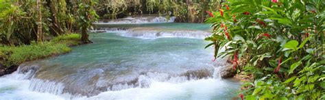Excursión a las cascadas del río Dunn, St James - Central de Reservas