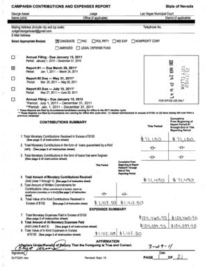 Nevada Campaign Contributions Report - Blank Fillable Template | Fill ...
