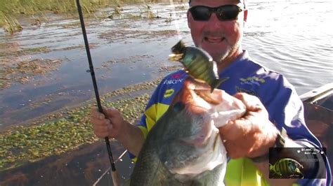 Image result for Shellcracker Baits