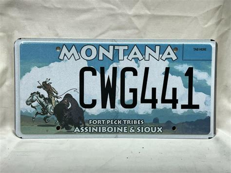 FORT PECK TRIBES ASSINIBOINE & SIOUX LICENSE PLATE | #3915486423