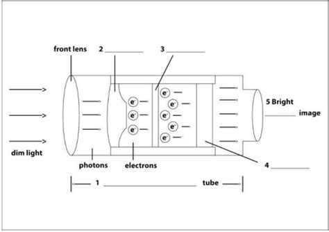 Diagram Label Completion Practice Test - 7 - Reading for Academic IELTS