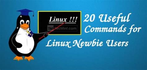 Take a Video Using Linux Command Line 的图像结果