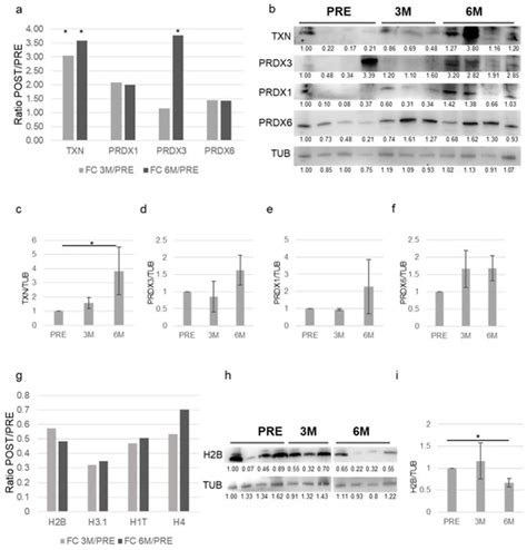 Proteomes | An Open Access Journal from MDPI