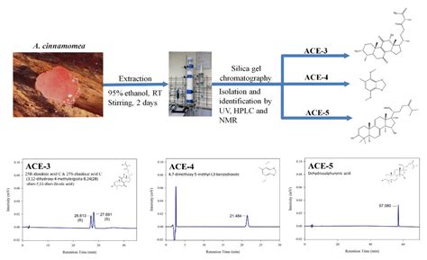 Antrodia cinnamomea Suppress Dengue Virus Infection through Enhancing ...