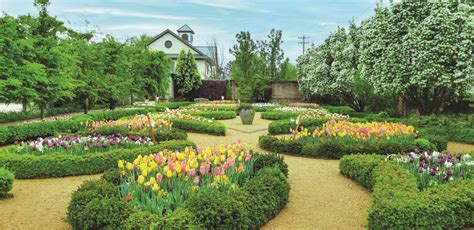 This Spring at Paul J. Ciener Botanical Garden – Kernersville Magazine