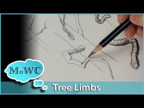 Sketching Tree Limbs 的图像结果