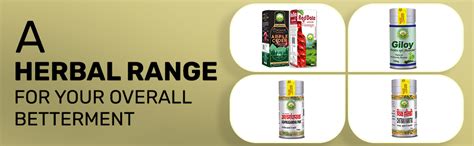 Buy BASIC AYURVEDA Bilwa Taila (Oil) 10ml | Ayurvedic Drop for Ear ...