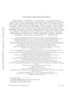 Image result for Decathlon Brain Segmentation Code