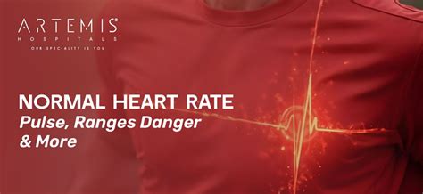 Image result for What Is Normal Pulse Levels