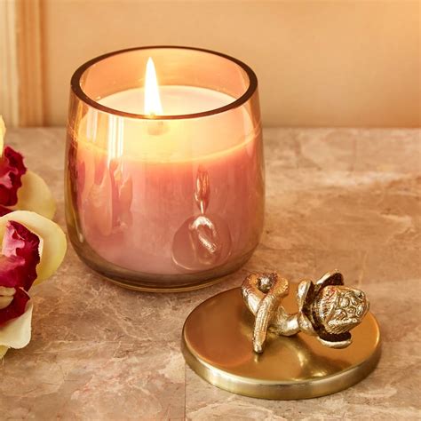 Buy Eternity Vivere Pink Lotus Scented Floral Jar Candle from Home ...
