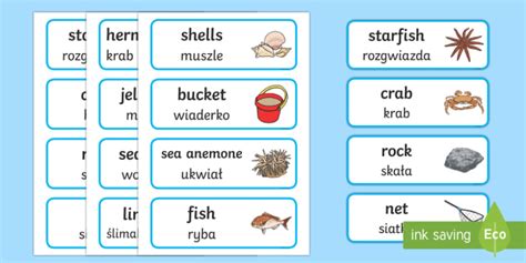 Seaside Rockpool Flashcards English/Polish