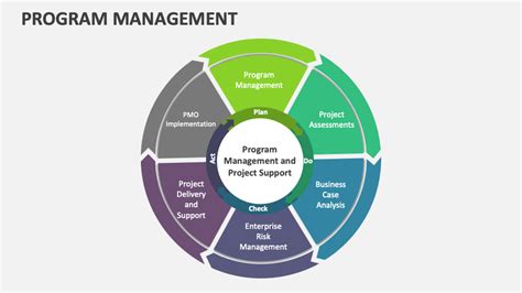 Image result for Program Management Model