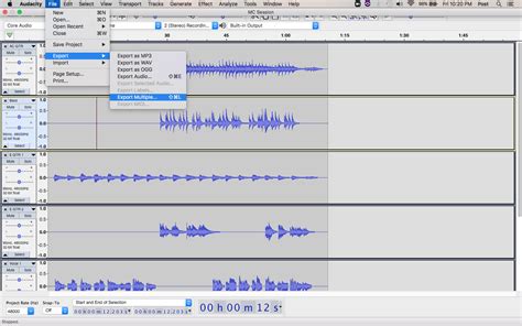 Image result for Audacity Export Labels