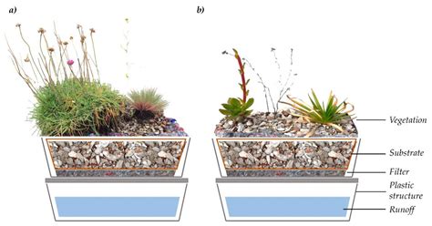 Green Roof Design with Engineered Extensive Substrates and Native ...