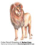 simple drawing images pencil