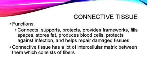 CONNECTIVE TISSUE Anatomy and Physiology CONNECTIVE TISSUE Functions