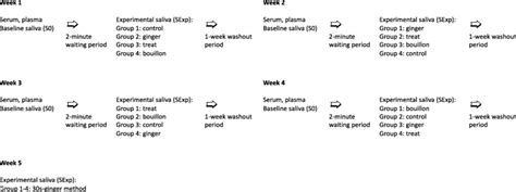 Image result for Example of a Study Chart