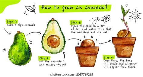 Image result for Traditional Transcript Format