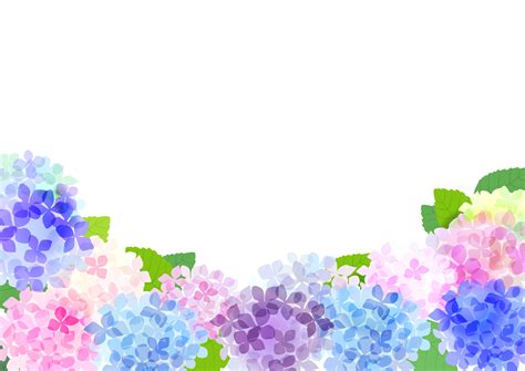 Image result for Java CSS/HTML Cetor Fraph