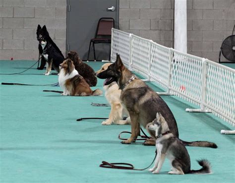 Car-Dun-Al Obedience and Rally Trials, CarDunAl Obedience Dog Training ...