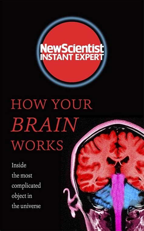 Buy How Your Brain Works: Inside the Most Complicated Object in the ...