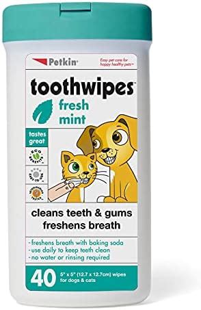 Buy Petkin Tooth-Wipes Tooth and Gum Cleanser Online at Low Prices in ...