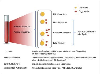 Update Lipidmanagement - Kardiologie & Gefäßmedizin - Universimed ...