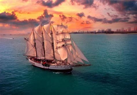 Royal Albatross Cruise | 8 Sentosa Gateway, Singapore | (15121 Reviews)