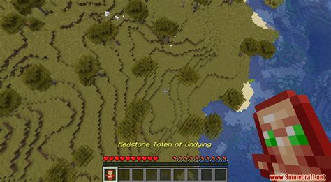 Image result for Custom Totems Tutorial