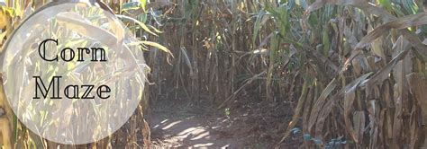 Exploring Harrisonburg: Fall Activities » Harrisonblog