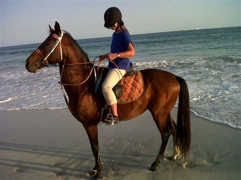 Reiten Wandern Fahrradfahren in Andalusien Hotel Rancho Los Lobos in ...