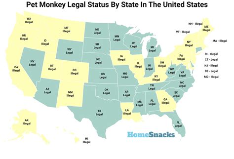 How To Legally Own A Monkey In Ohio at Cathy Remington blog