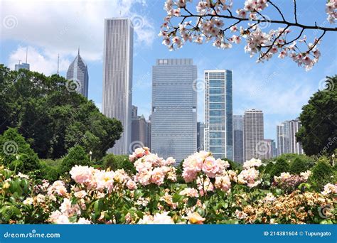 Chicago spring skyline stock photo. Image of parkland - 214381604