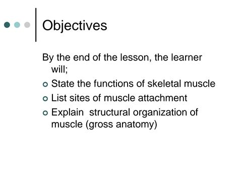Image result for Muscular System Lecture Video