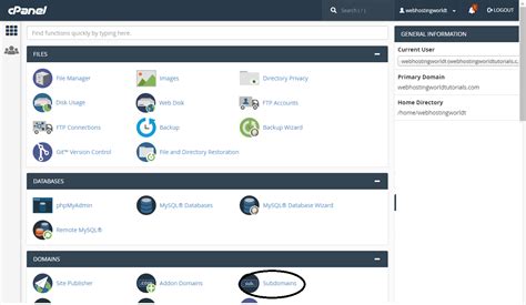 Image result for Domain cPanel