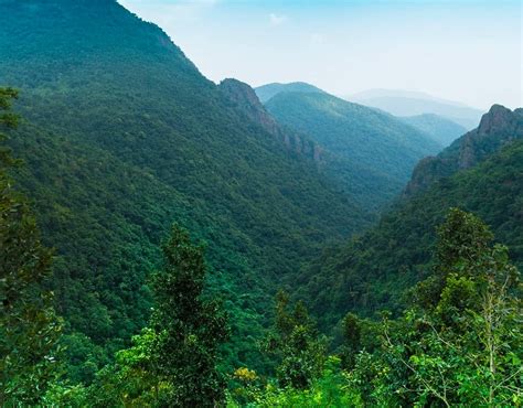 Eco Retreat Odisha - Luxury Camping Experience in Odisha