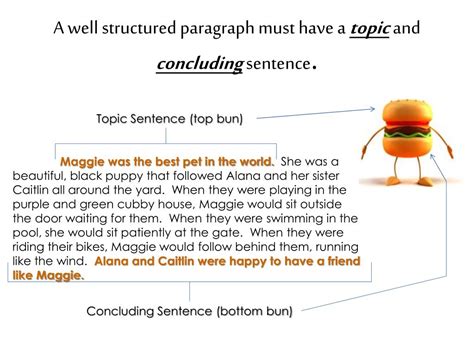 Image result for Structured Paragraph Examples